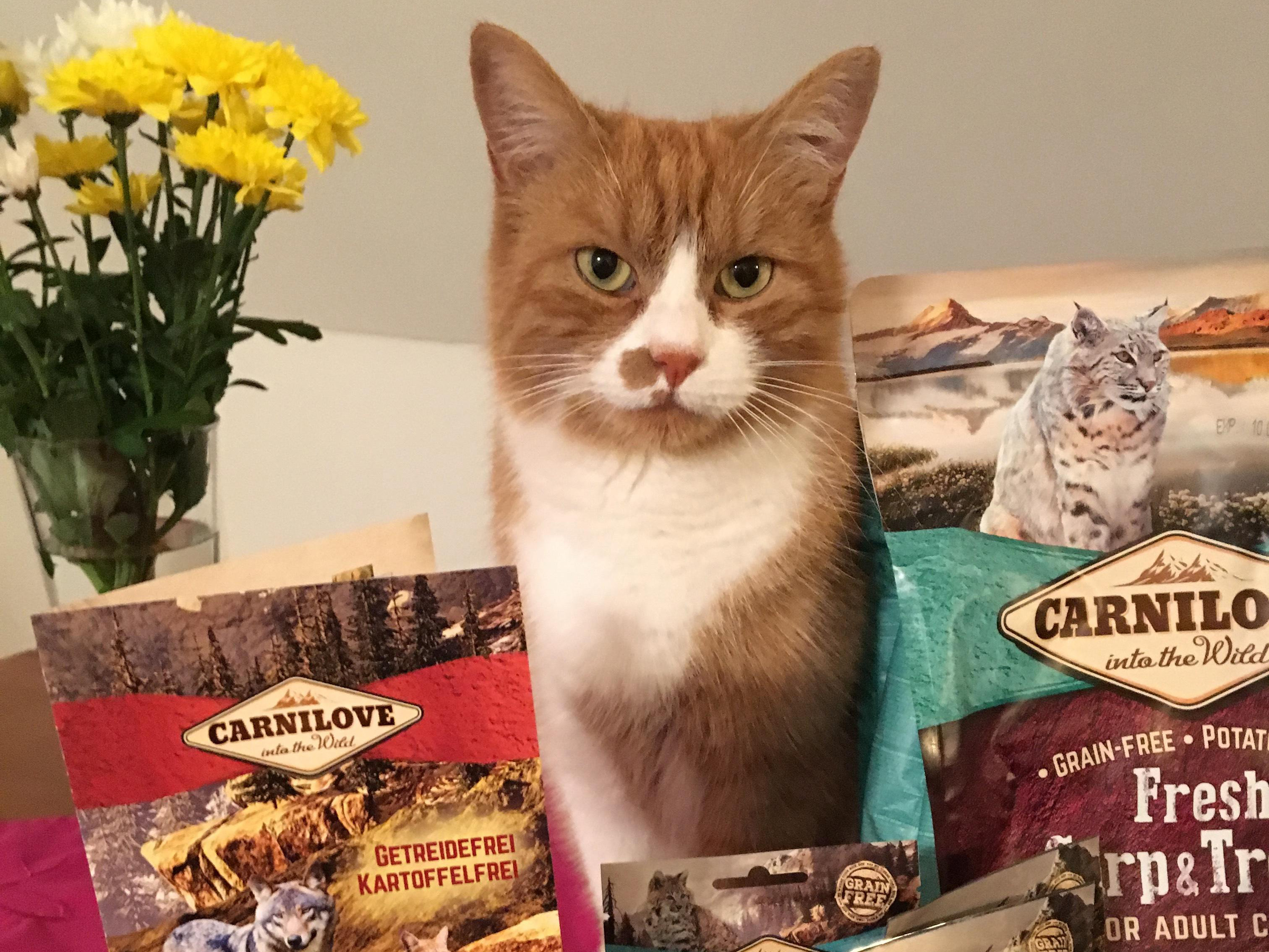 Foto übermittelt von trnd-Partnerin Sporeks