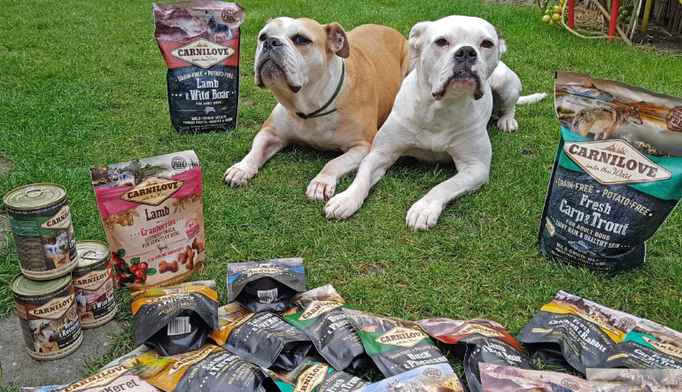 Damit unser Projekt ein voller Erfolg wird, ist das Erfüllen dreier wesentlicher Aufgaben wichtig, die wir hier auflisten.