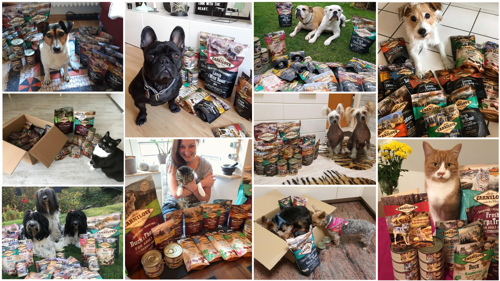 Abschließende Meinungen zu Carnilove.