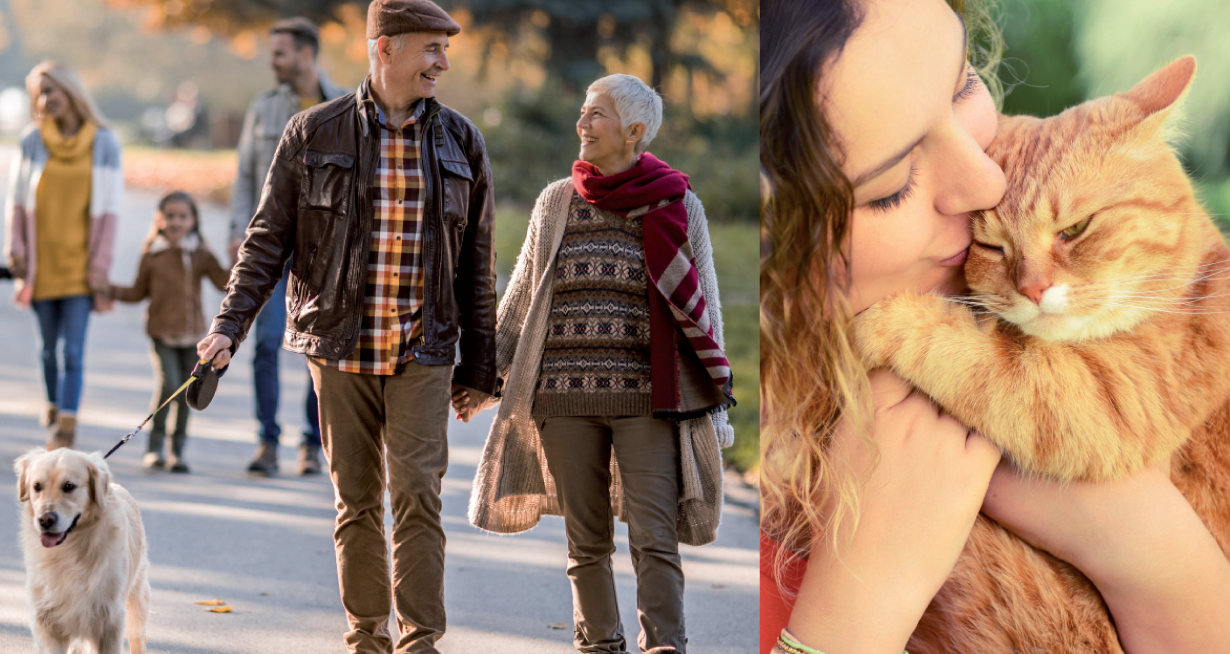 Lerne als einer von 1.000 trnd-Partnern das Futter von Carnilove kennen. Teile Deine Erfahrungen mit Interessierten aus Deinem Umfeld und dem Internet.