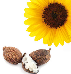 Cetaphil® Feuchtigkeitscreme pflegt die Haut mit wertvollem Sonnenblumen- und Mandelöl, Glycerin sowie Vitamin E.