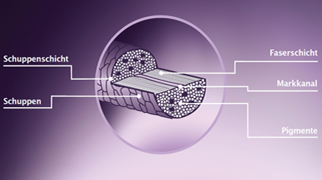 Color Expert: So funktioniert eine Coloration.