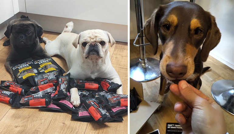 CRAVE™ Hundesnacks