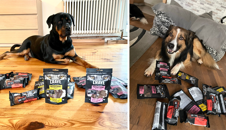 CRAVE™ Hundesnacks