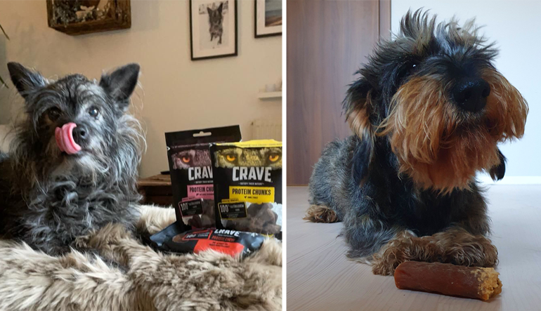 CRAVE™ Hundesnacks