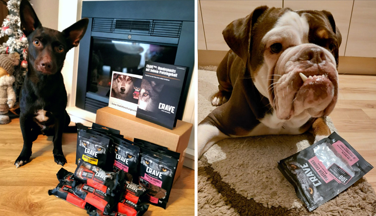 CRAVE™ Hundesnacks