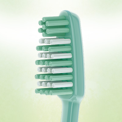 Borsten aus 100 % nachwachsendem Rohstoff 