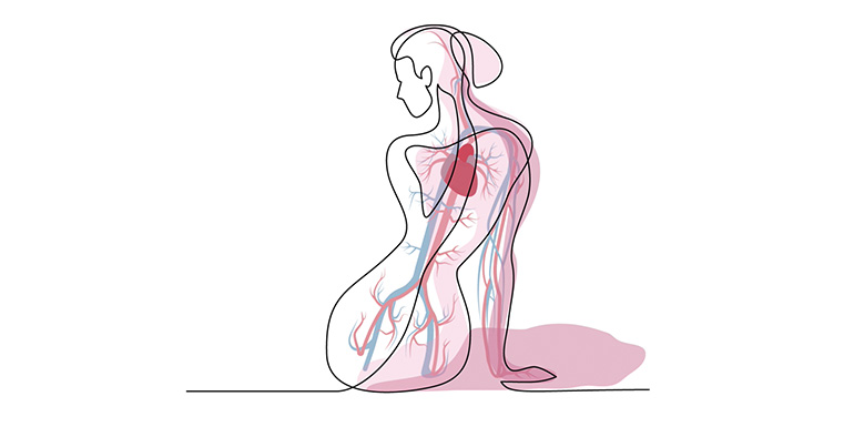 So wirkt Elasten im Körper