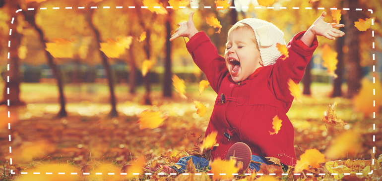 elefanten Schuhe: Das Projektteam steht fest!