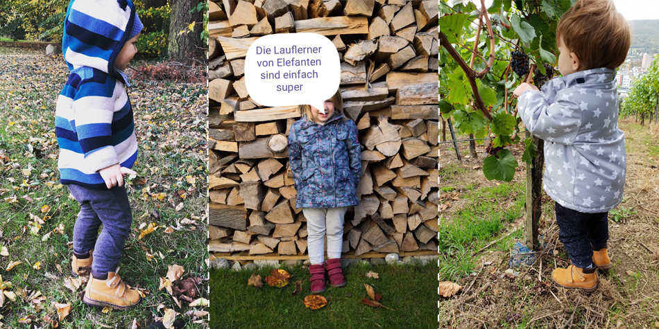 elefanten Schuhe: in einem Satz.