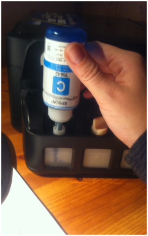 trnd-Partnerin Moulin-Rouge