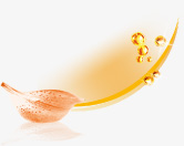 orange-ingwer_informationen-zur-aktion