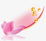 pinker-jasminr_informationen-zur-aktion