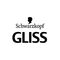 GLISS Logo