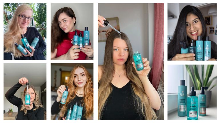 GLISS Scalp Balance: Projektaufgaben im Überblick