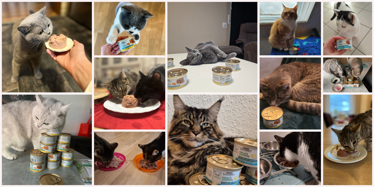 GOURMET Nature's Creations