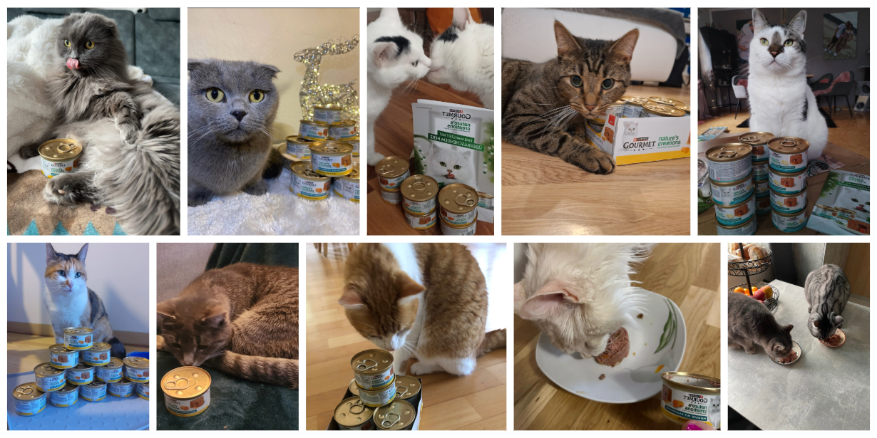 GOURMET Nature's Creations