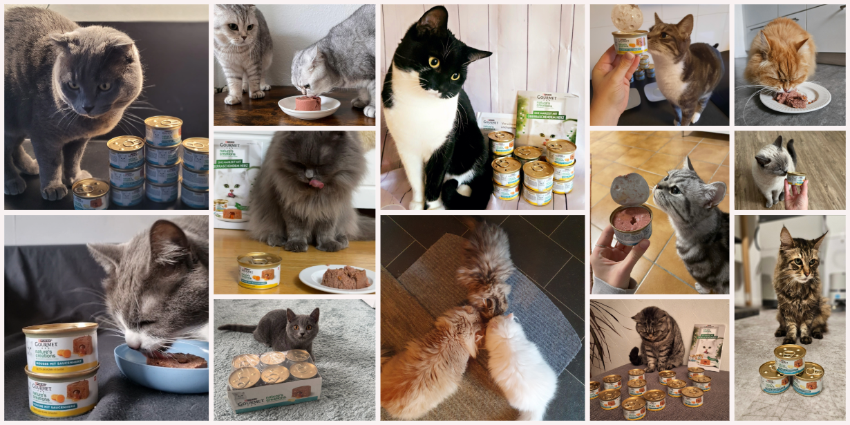 GOURMET Nature's Creations