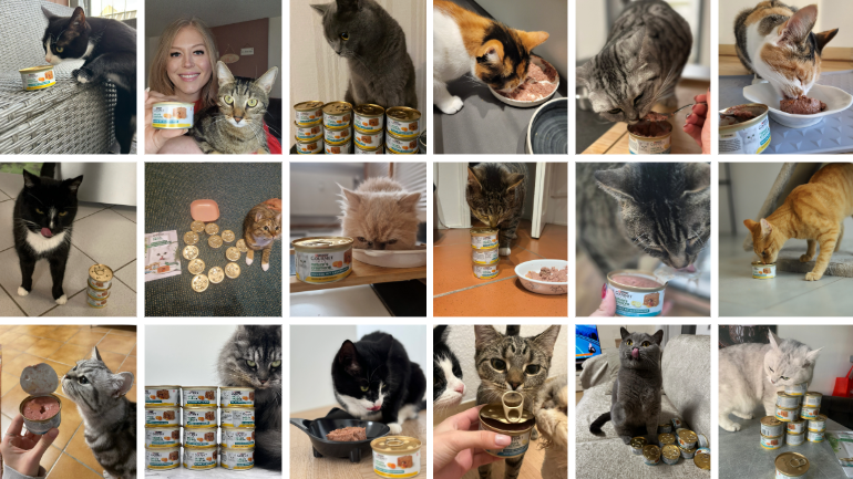 GOURMET Nature's Creations