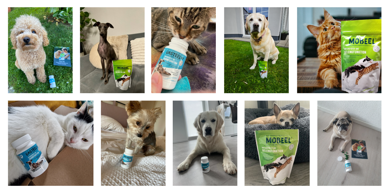 Gemeinsam machen wir Heel bekannt: Eure Aufgaben im Projekt!