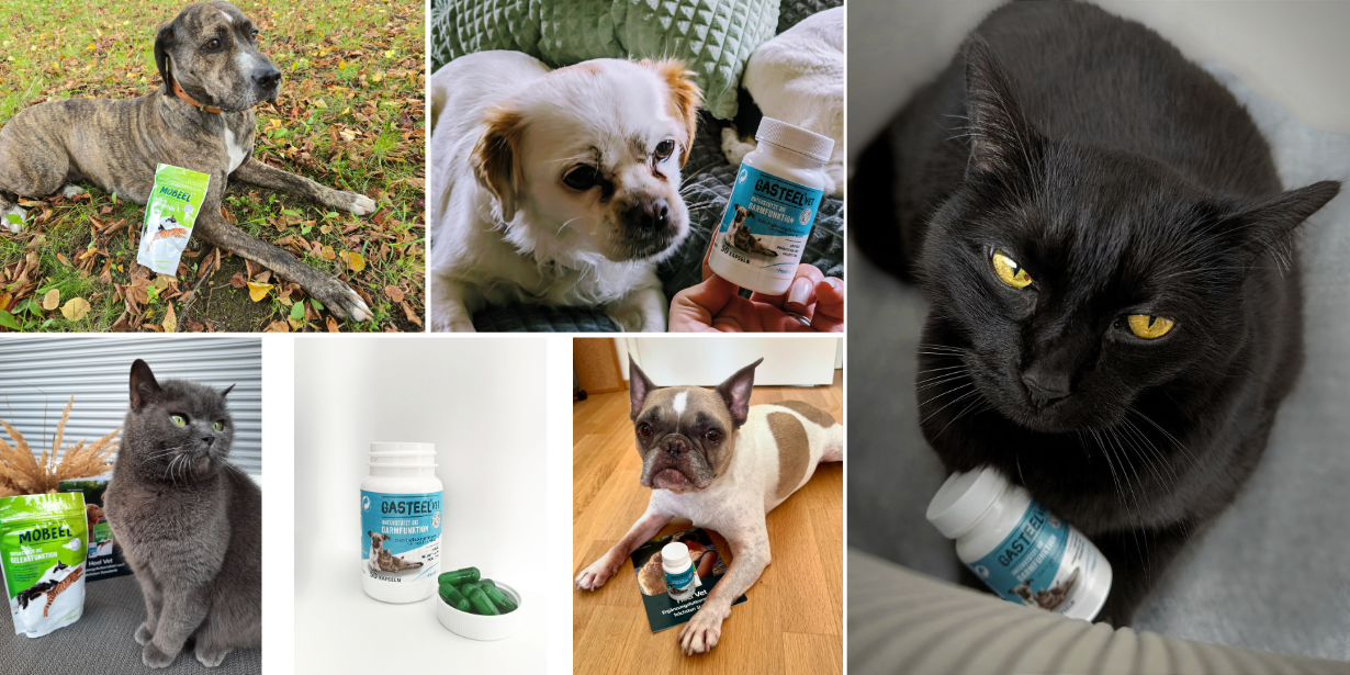 Euer erster Eindruck.