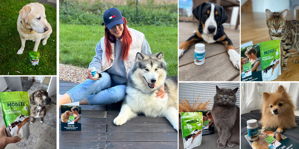 Unsere Highlights im Projekt