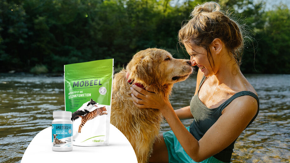 Ergänzungsfuttermittel von Heel