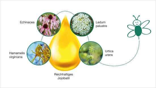 Es besteht aus pflegendem Jojobaöl kombiniert mit natürlichen Pflanzenextrakten aus Sumpfporst, der kleinen Brennnessel, Sonnenhut und Zaubernuss.