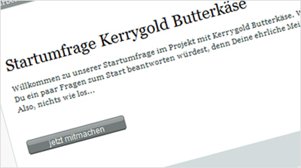 Unseren ersten Eindruck übermitteln wir in der Startumfrage.