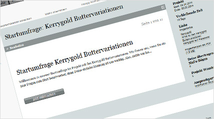 Kerrygold Startumfrage