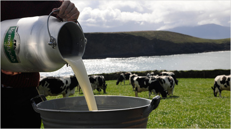 … Butter-Varianten zeichnen sich dadurch aus, dass sie ausschließlich aus Butter und Kräutern bestehen. Außerdem wird die Butter aus irischer Weidemilch hergestellt. Der …