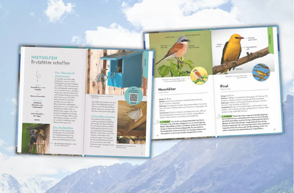 Ihr möchtet einen Gartenvogel sicher bestimmen? In drei einfachen Schritten gelangt ihr zur passenden Auswahl.
