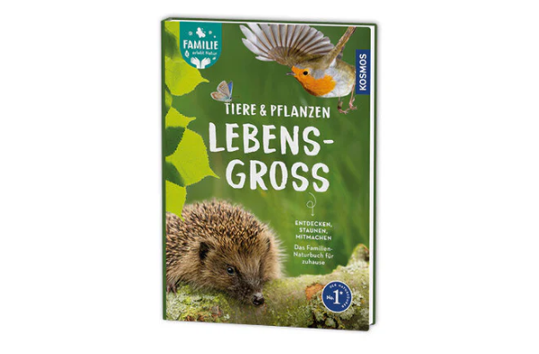 Dieses Familien-Bestimmungsbuch versammelt über 100 Arten aus der Tier- und Pflanzenwelt in Originalgröße.