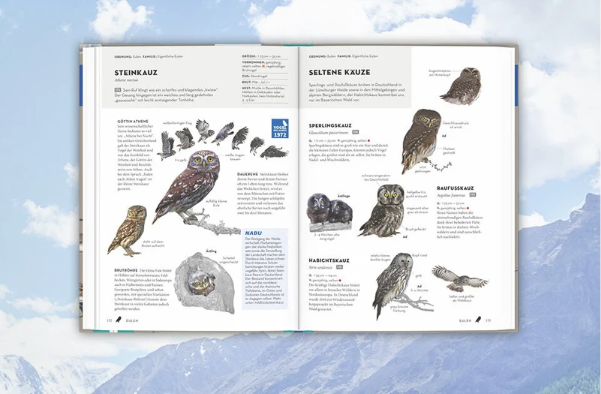 Wer sich nicht nur an den Flugkünsten der Vögel erfreuen will, sondern auch wissen möchte, wer da fliegt, für den ist das NABU-Vogelbuch genau das richtige.