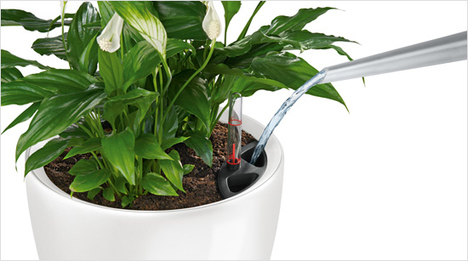 Das LECHUZA Pflanzgefäß verfügt über ein Wasserreservoir und einen Wasserstandsanzeiger. Damit gießt man seltener und immer die richtige Menge.