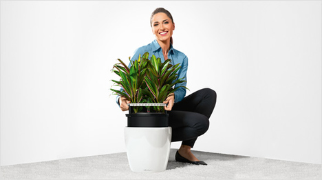 Der praktische Pflanzeinsatz des CLASSICO LS 21 lässt sich mühelos bepflanzen und am patentierten Griffrahmen in das Gefäß aus hochwertigem Kunststoff einsetzen.