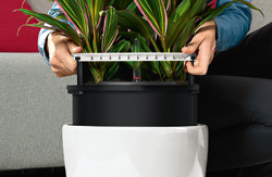 Informationen zum LECHUZA CLASSICO LS.