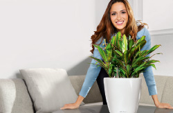 Informationen zum LECHUZA CLASSICO LS.