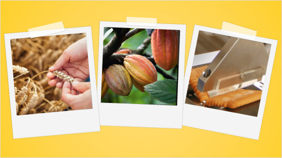 Auch im Doppel-Keks steckt ganz viel Qualität: Weizen aus nachhaltigem Anbau, UTZ zertifizierter Kakao und die von Leibniz geprüfte Knackfrische.  