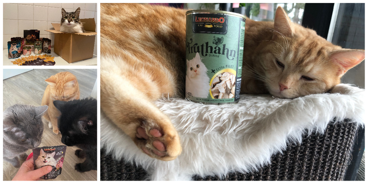 LEONARDO Katzenfutter