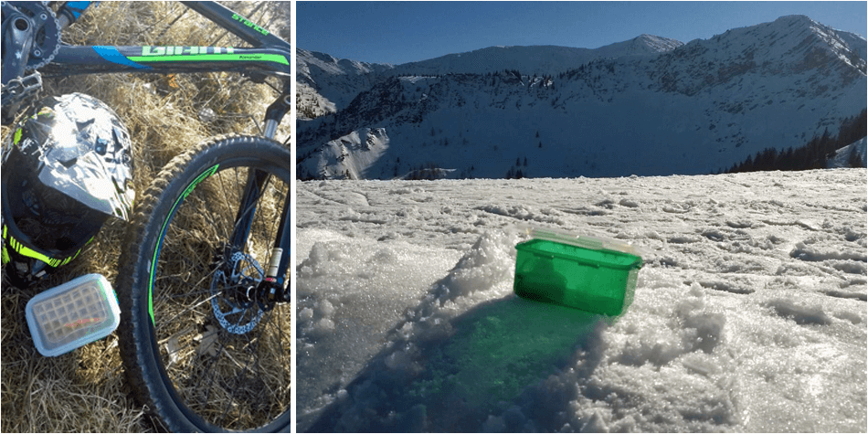 ... sie auf Herz und Nieren getestet ...