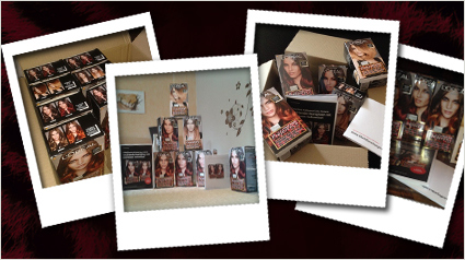 L'Oréal Paris Préférénce Color Ombrés