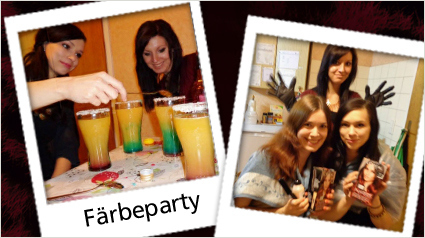 L‘Oréal Paris Préférence Color Ombrés