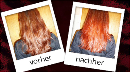 L‘Oréal Paris Préférence Color Ombrés