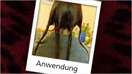 L‘Oréal Paris Préférence Color Ombrés