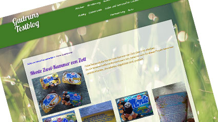 ...oder auf dem privaten Blog. Es gibt viele Möglichkeiten, online über Monte Zwei-Kammer zu berichten!