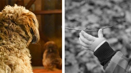 Nikon D3400 und D500 Autofokus