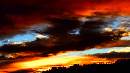 …tolle Fotoeffekte ausprobiert…