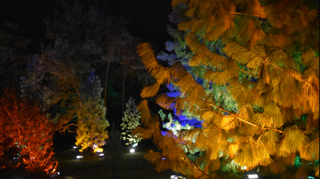 …und auch unter schwierigen Lichtverhältnissen ausdrucksstarke Fotos gemacht.