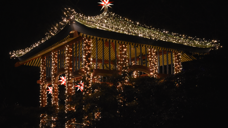 trnd-Partnerin Jerrylie hat mit der Nikon das Lichtspektakel "Christmas Garden" eingefangen.
